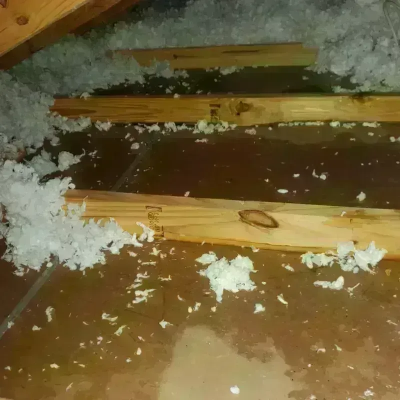 Attic Water Damage in Paradise Valley, AZ