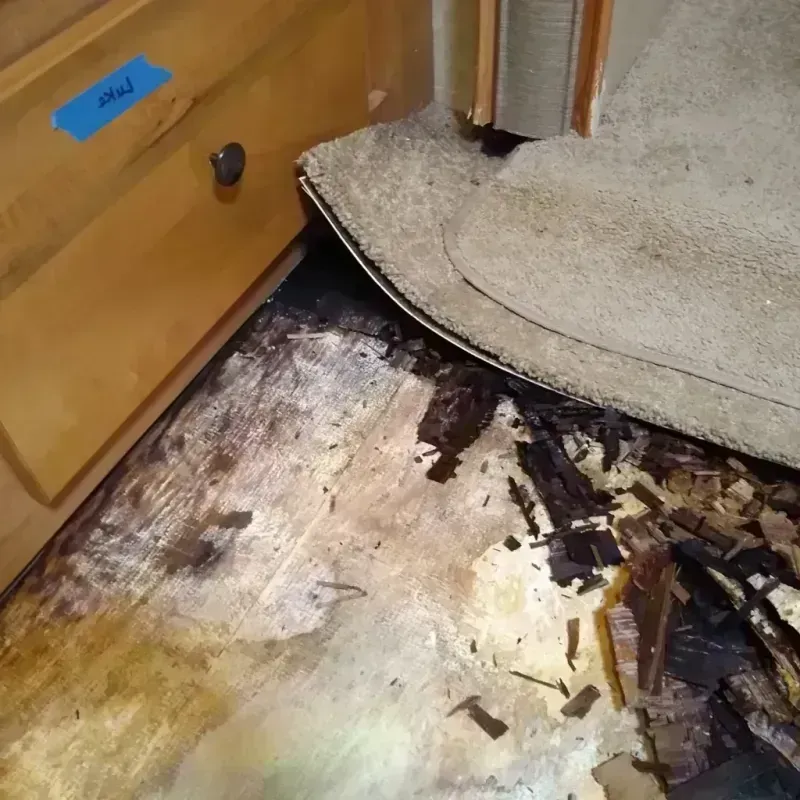 Best Wood Floor Water Damage Service in Paradise Valley, AZ